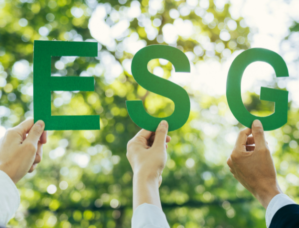 Versa Engenharia Ambiental Ltda mostra como o descarte consciente pode se transformar em valor sustentável para o planeta.