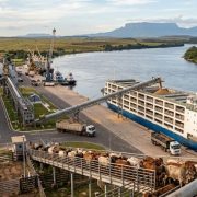 Guilherme Silva Ribeiro Campos