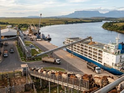 Guilherme Silva Ribeiro Campos